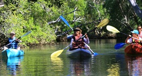 Eco Guided Kayaking or SUP Tours